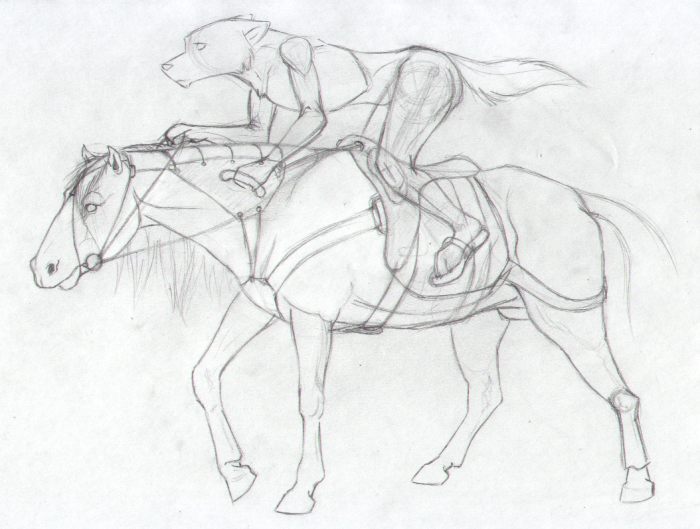 Horse Tack design
