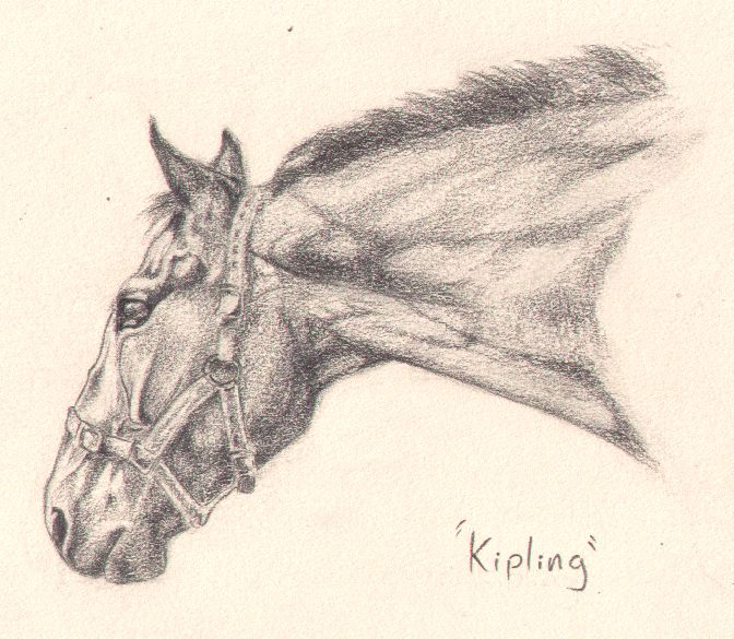 Kipling pencil scetch