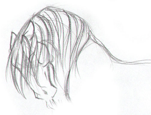 Stallion headshot