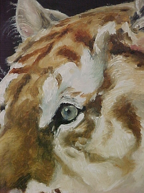 Tiger - detail