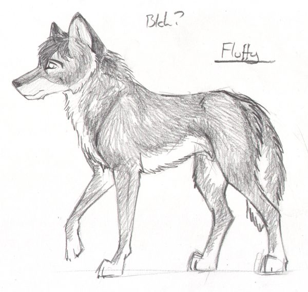 New wolfer - fluffy style