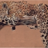 Realism Jaguar