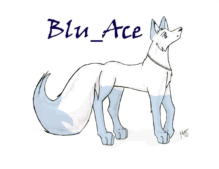 Blu_Ace