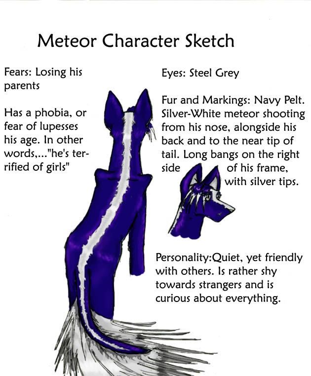 Meteor Character Sketch