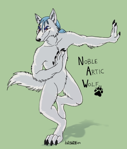 Noble Artic Wolf