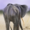 Elephant Bum