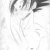 Goku & His Towel