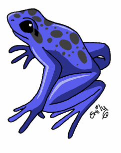 Um the Blue Poison Arrow frog