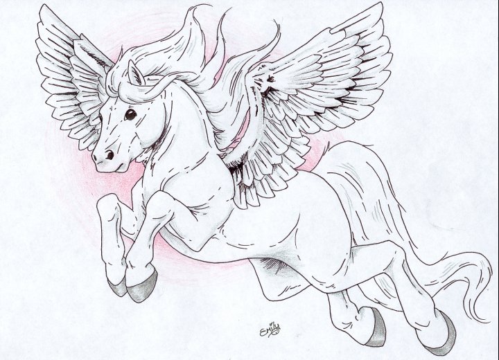The Pegasus