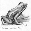The Phantasamal Arrow-Poison Frog