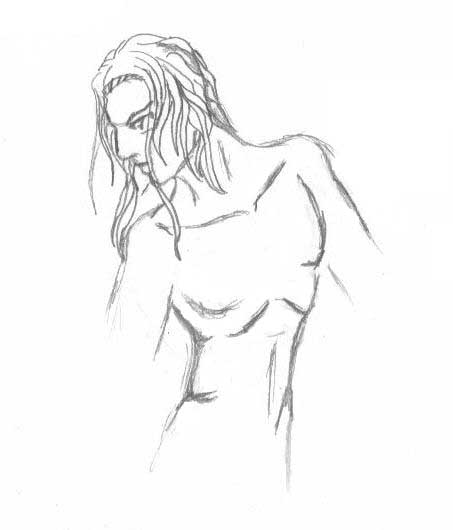 Anatomy Sketch: Male
