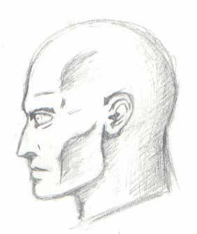 Anatomy Sketch: Head