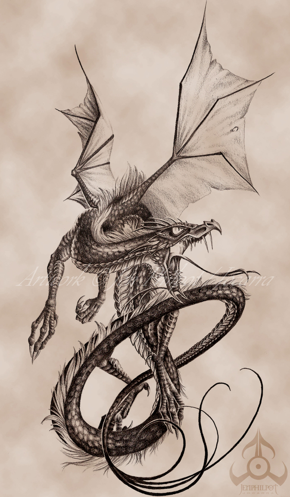 Commission: James' Dragon
