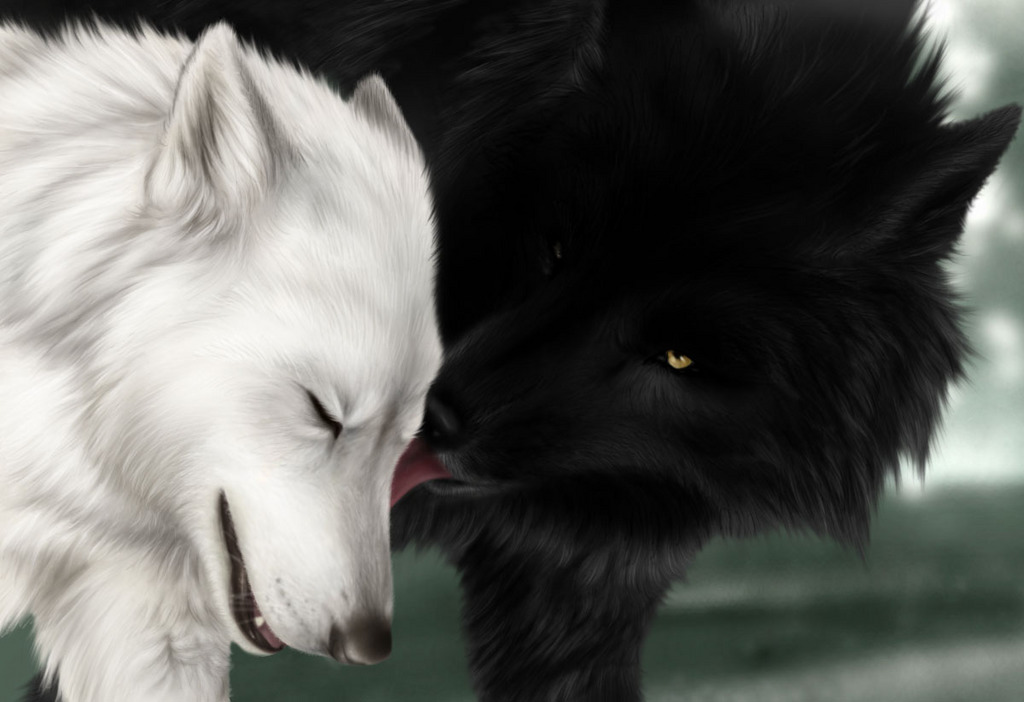 Wolf Mates V