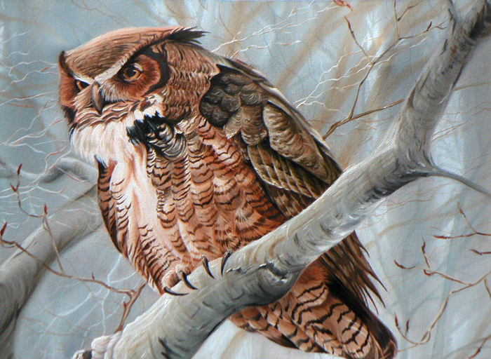 Bateman Great Horned Owl