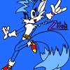 Zilch Sonic Adventure Pose