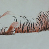 Charcoal Tiger