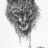 Wolf_sketch