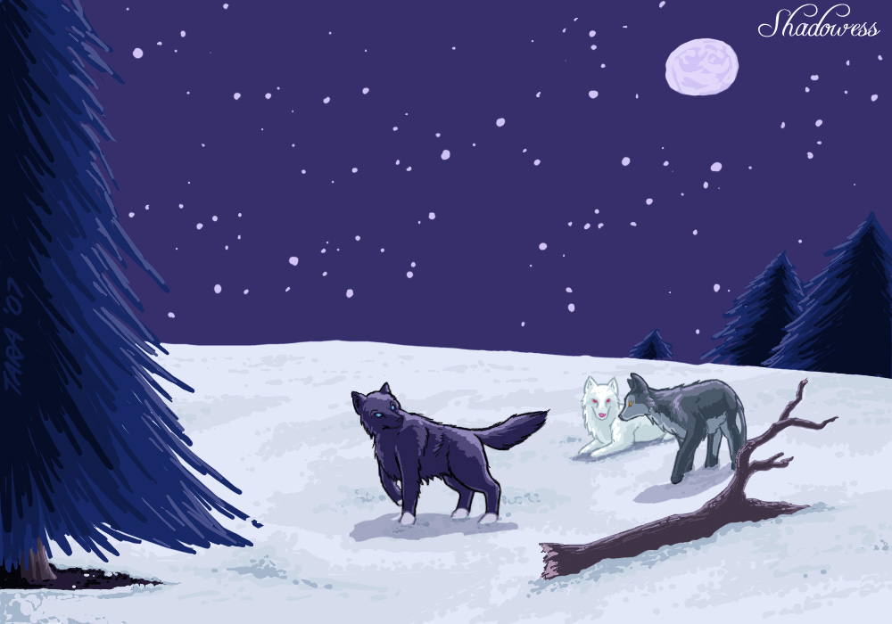 Wolves in the snow: Shadowess