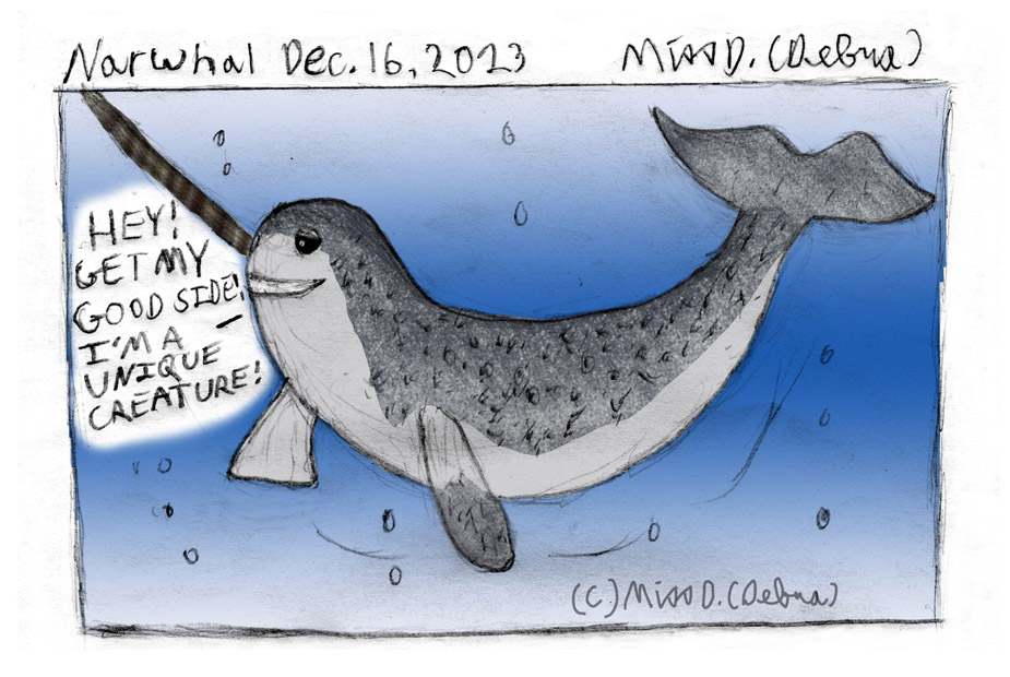 Narwhal - December 16th Drawing challenge