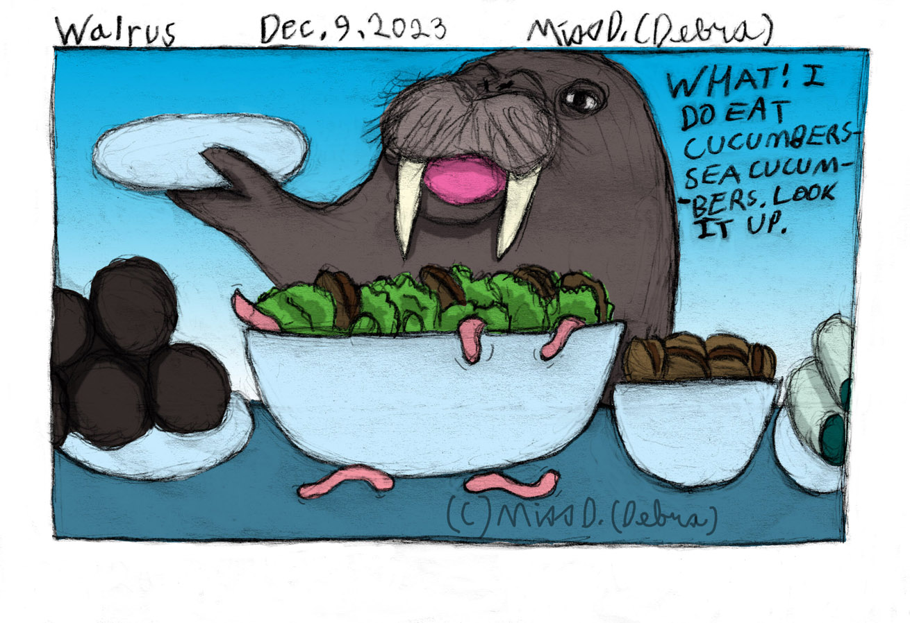 Walrus - December 9th Drawing challenge