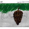 Pinecone - December 1st Drawing Challenge
