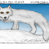 Arctic Fox - December 19th Drawing challenge
