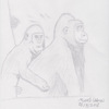 Gorilla and Young Sketch