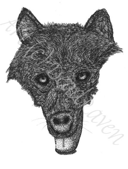 Wolf (unfinished)