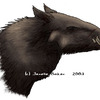 Boar