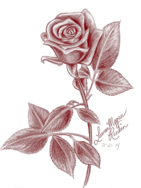 Dark Side Rose