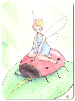 Fairy & Ladybug
