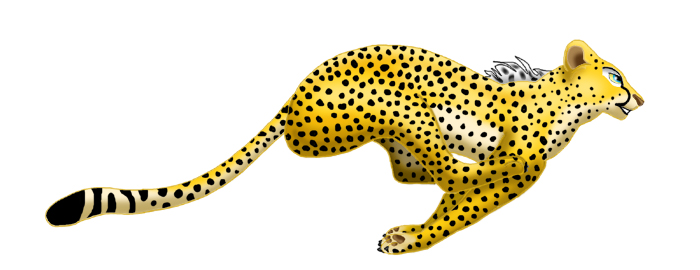 Cheetah