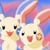 Plusle and Minun