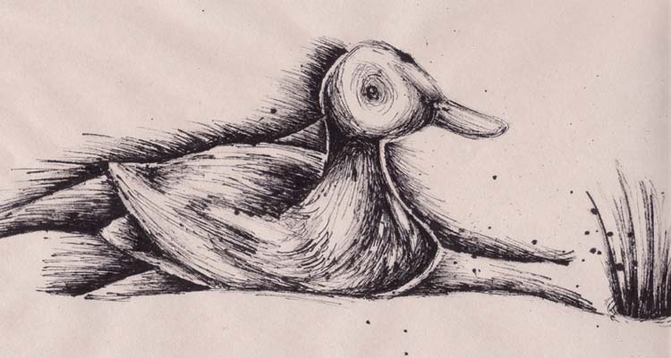 Duckie sketch