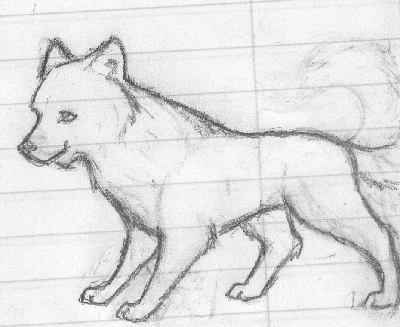 Wolfie Sketch