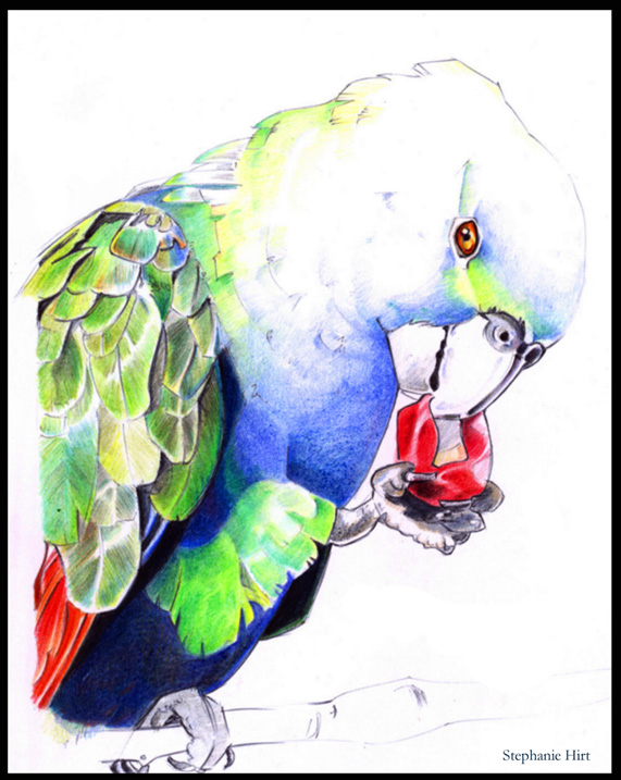 Parrot Project ii