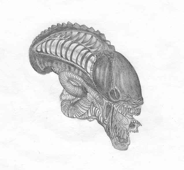 Xenomorph