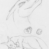 Sketchy Charizards