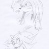 Knuckles and Shadow -rough sketch