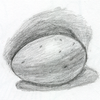 Brown Egg in Pencil