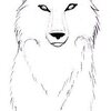 a white wolf...