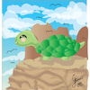 Turtle o_o