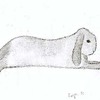 Pinja the pet rabbit