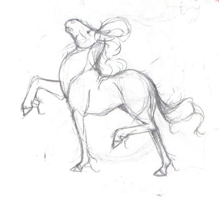 horse sketch