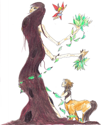 The Tree Spirit