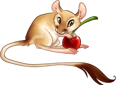 Kangaroo Rat Cherry