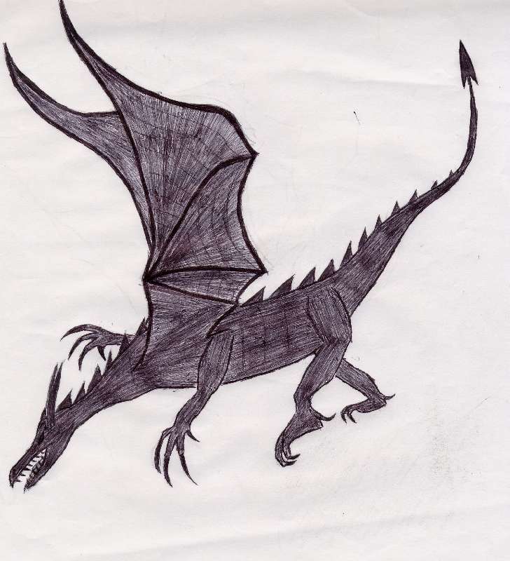 dragon2