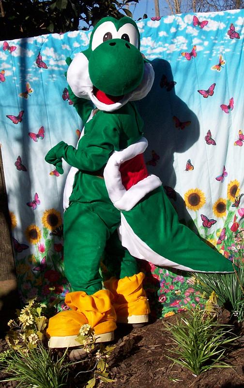 Yoshi Costume