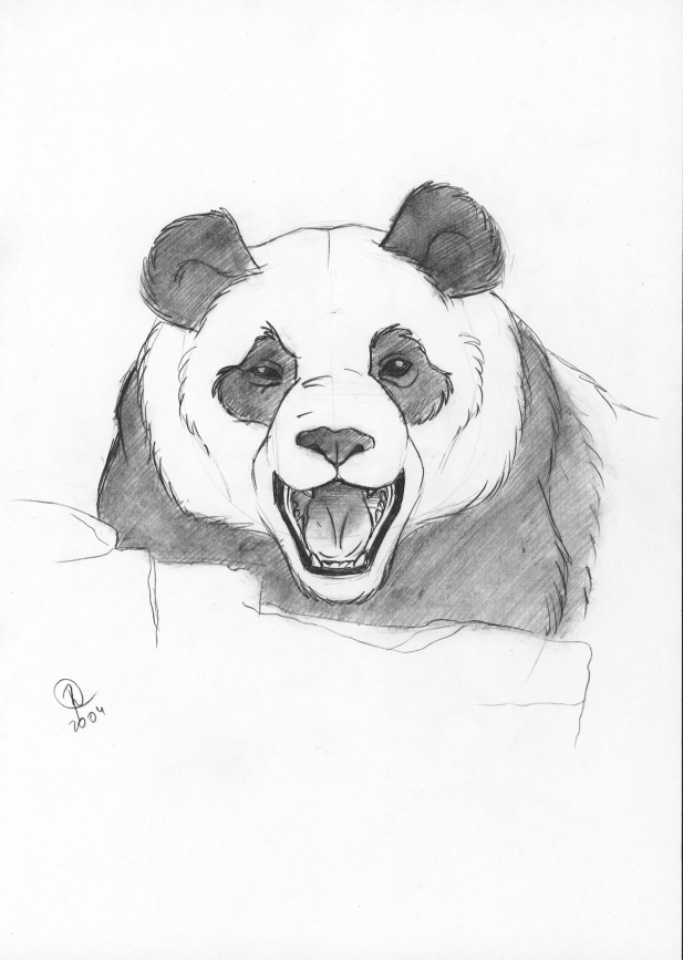 Roar Panda